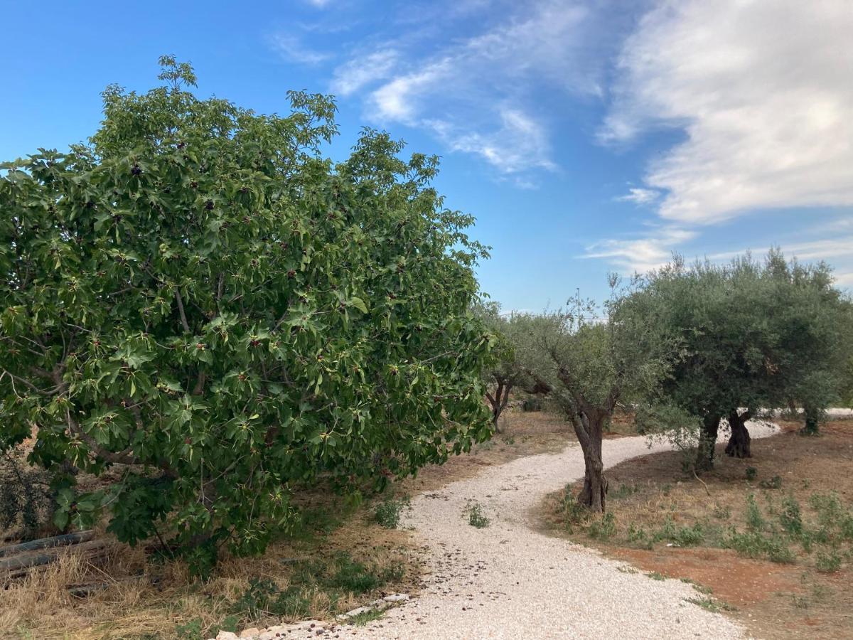 Il Casale Di Brunella Monopoli Kültér fotó